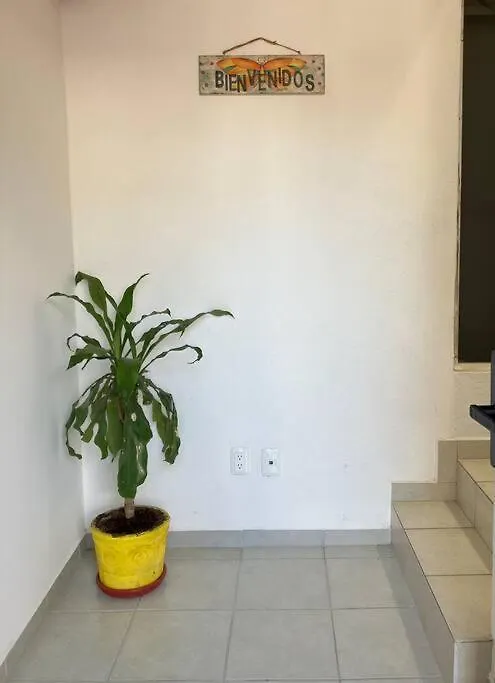 Departamento Frida Kahlo Apartment Queretaro Mexico