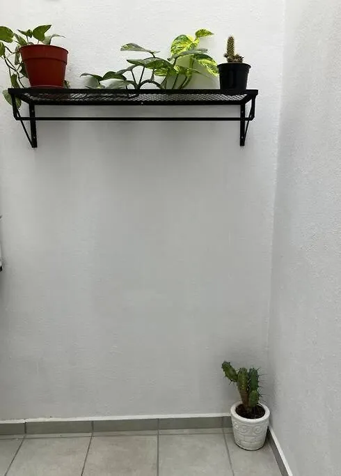 Departamento Frida Kahlo Apartment Queretaro
